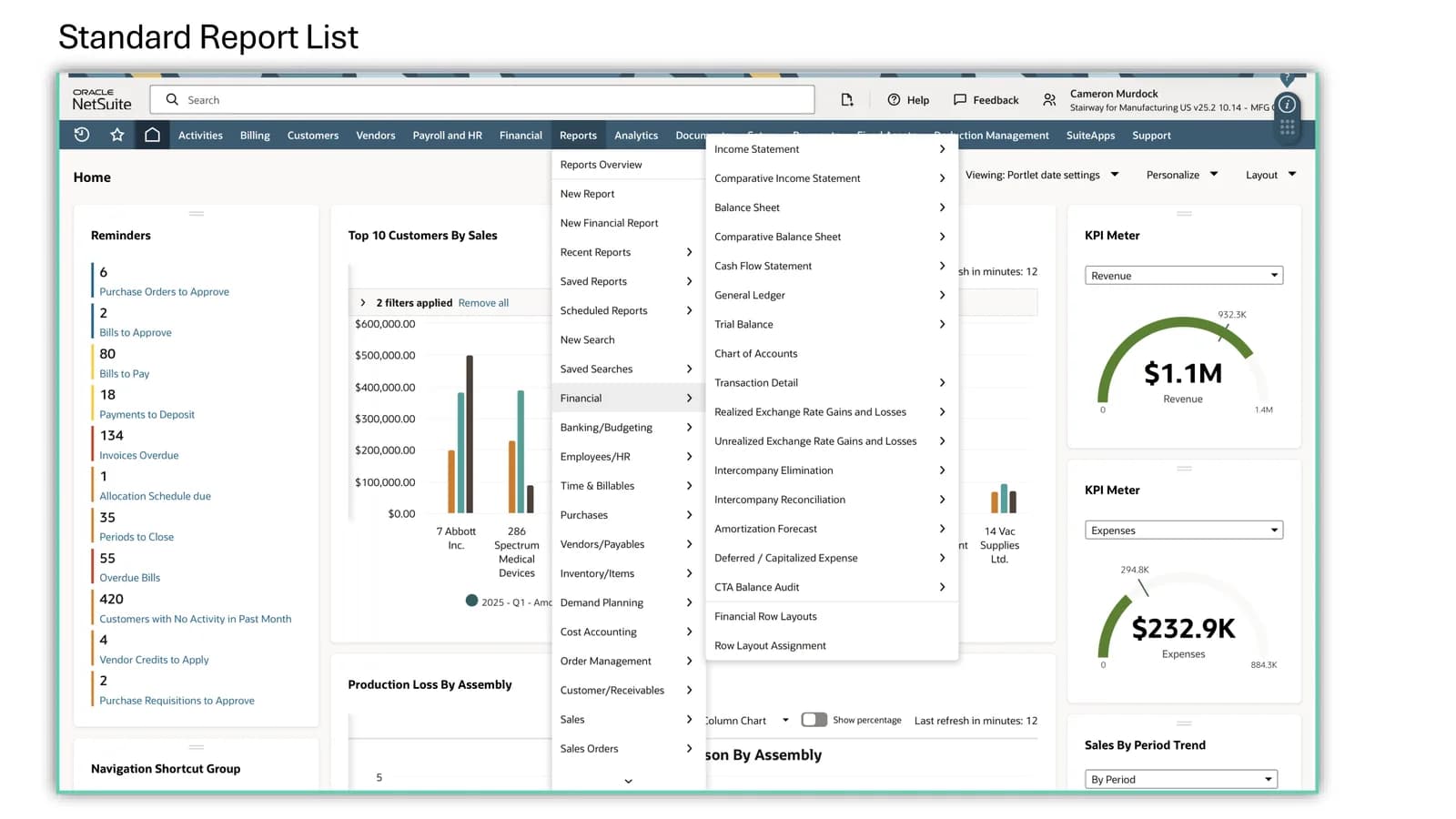 NetSuite standard report list